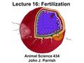 Lecture 16: Fertilization Animal Science 434 John J. Parrish.