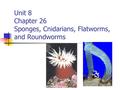 Unit 8 Chapter 26 Sponges, Cnidarians, Flatworms, and Roundworms.