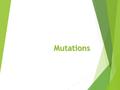 Mutations. What Are Mutations?  Changes in the nucleotide sequence of DNA  May occur in somatic cells (aren’t passed to offspring)  May occur in gametes.