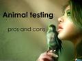 Animal testing pros and cons. Arguments for testing.