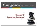 Management 11e John Schermerhorn Chapter 16 Teams and Teamwork.