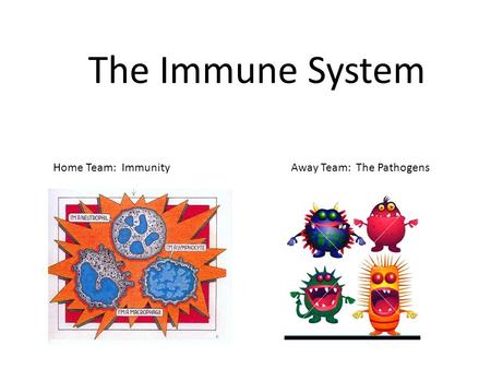 The Immune System Home Team: Immunity Away Team: The Pathogens.