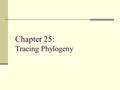 Chapter 25: Tracing Phylogeny. Phylogeny Phylon = tribe, geny = genesis or origin The evolutionary history of a species or a group of related species.