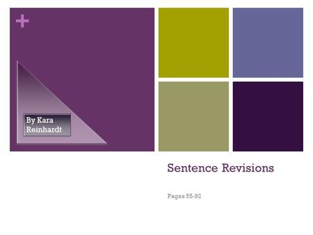 + Sentence Revisions Pages 55-92 By Kara Reinhardt.