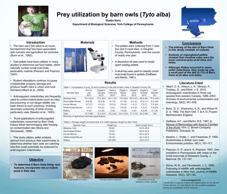 Prey utilization by barn owls (Tyto alba) Dustin Kern Department of Biological Sciences, York College of Pennsylvania Objective Results Conclusions Acknowledgements.