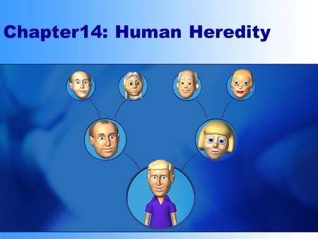 Chapter14: Human Heredity. Making a Pedigree Pedigree –A graphic representation of genetic inheritance. –Track genotypes by looking at their phenotypes.