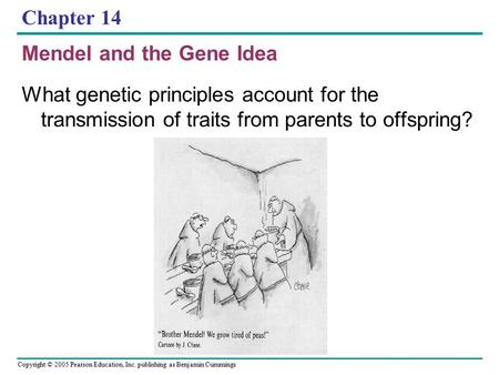 Copyright © 2005 Pearson Education, Inc. publishing as Benjamin Cummings Chapter 14 Mendel and the Gene Idea What genetic principles account for the transmission.