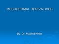 MESODERMAL DERIVATIVES By: Dr. Mujahid Khan. Derivatives  Connective tissue  Cartilage  Bone  Striated & smooth muscles  Heart  Blood & lymphatic.