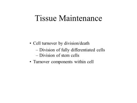 Tissue Maintenance Cell turnover by division/death –Division of fully differentiated cells –Division of stem cells Turnover components within cell.