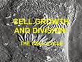 CELL GROWTH AND DIVISION: THE CELL CYCLE Importance of Cell Division Growth of organism (adding more cells) To replace dead or damaged cells (healing)