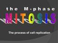 The process of cell replication Genes and Proteins  Proteins do the work of the cell: growth, maintenance, response to the environment, reproduction,
