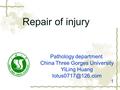 Repair of injury 1 Pathology department China Three Gorges University YiLing Huang