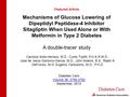 Mechanisms of Glucose Lowering of Dipeptidyl Peptidase-4 Inhibitor Sitagliptin When Used Alone or With Metformin in Type 2 Diabetes A double-tracer study.