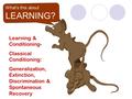 What’s this about LEARNING? What’s this about LEARNING? Learning & Conditioning- Classical Conditioning: Generalization, Extinction, Discrimination & Spontaneous.