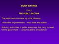 STIR WORK SETTINGS (Chapter 2) THE PUBLIC SECTOR The public sector is made up of the following Three level of government - local, state and federal Statutory.