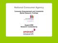 National Consumer Agency Consumer Empowerment and Complaints Market Research Findings August 2009 Research Conducted by.