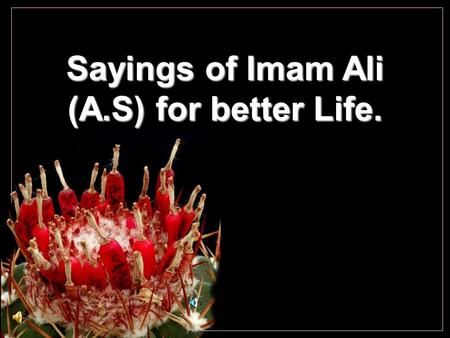 Sayings of Imam Ali (A.S) for better Life. Cochemiea poselgeri The best form of devotion to the service of Allah is not to make a show of it..