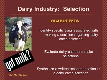 Dairy Industry: Selection OBJECTIVES By: Mr. Weaver Identify specific traits associated with making a decision regarding dairy cattle selection. Evaluate.
