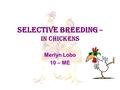 Selective Breeding Selective Breeding – In Chickens Merlyn Lobo 10 – ME.