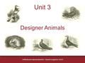 Unit 3 Designer Animals Artificial and natural selection - Darwin’s pigeons: Unit 3.