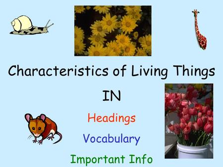 Characteristics of Living Things IN Headings Vocabulary Important Info.