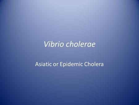 Vibrio cholerae Asiatic or Epidemic Cholera. Readings Question #1 Describe the Vibrio cholerae bacterium. Where is it found?