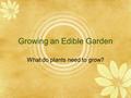 Growing an Edible Garden What do plants need to grow?