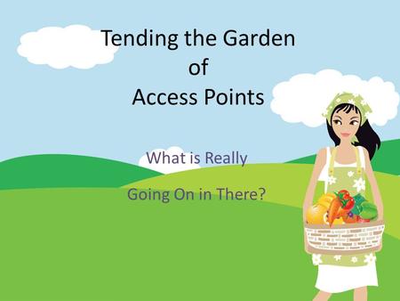 Tending the Garden of Access Points What is Really Going On in There?