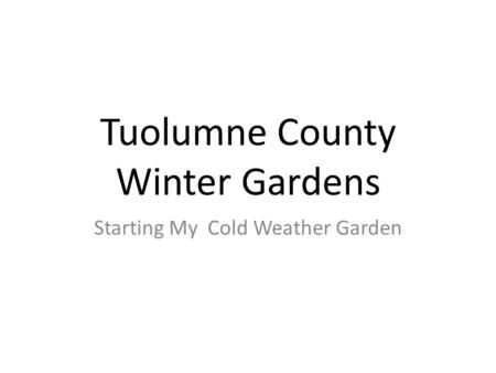 Tuolumne County Winter Gardens Starting My Cold Weather Garden.