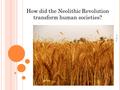 How did the Neolithic Revolution transform human societies? E. Napp.