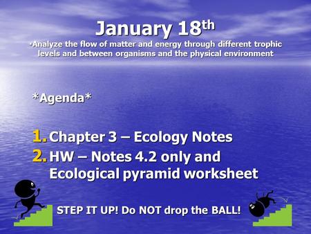 January 18 th * Analyze the flow of matter and energy through different trophic levels and between organisms and the physical environment *Agenda* 1. Chapter.