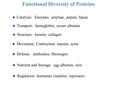 Functional Diversity of Proteins u Catalysis: Enzymes: amylase, pepsin, lipase u Transport: hemoglobin, serum albumin u Nutrient and Storage: egg albumin,