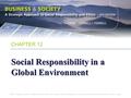 Social Responsibility in a Global Environment