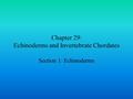 Chapter 29: Echinoderms and Invertebrate Chordates