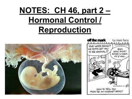 NOTES: CH 46, part 2 – Hormonal Control / Reproduction.
