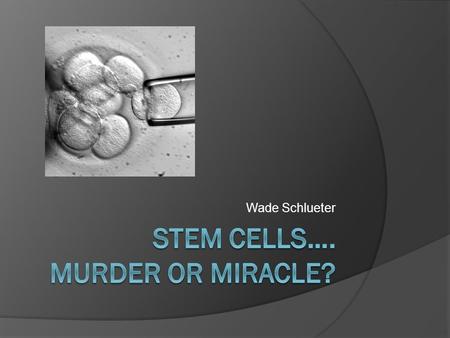 Wade Schlueter. Stem Cells…? … Huh?  A type of cell that can turn into a variety of different types of cells in the body and do so without limit.  Types.