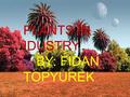 PLANTS IN IDUSTRY BY: FIDAN TOPYUREK. AGENDA FOR TODAY Products from Wood Products from Plant Fibres Plant Extracts Energy From Plants.