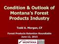 Condition & Outlook of Montana’s Forest Products Industry Todd A. Morgan, CF Forest Products Retention Roundtable June 12, 2015.