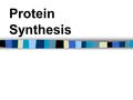 Protein Synthesis. Central Dogma After discovering the double helix structure Crick went on to study how DNA serves as the hereditary molecule of life.