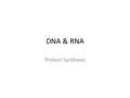 DNA & RNA Protein Synthesis. DNA  be.com/watch?v =4PKjF7OumYo.