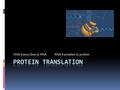 DNA transcribes to RNA RNA translates to protein.