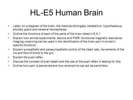HL-E5 Human Brain Label, on a diagram of the brain, the medulla oblongata, cerebellum, hypothalamus, pituitary gland and cerebral hemispheres. Outline.