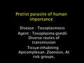 Protist parasite of human importance Disease : Toxoplasmosis Agent : Toxoplasma gondii Diverse routes of transmission Tissue-inhabiting Apicomplexan. Zoonosis.