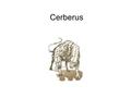 Cerberus. Introduction Cerberus is test case generator tool. Used for automation of unit testing.