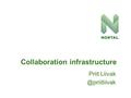 Priit Collaboration infrastructure.