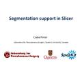 Segmentation support in Slicer Csaba Pinter Laboratory for Percutaneous Surgery, Queen’s University, Canada.