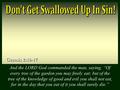 Don't Get Swallowed Up In Sin!