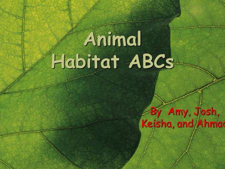Animal Habitat ABCs By Amy, Josh, Keisha, and Ahmad.