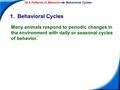 34-2 Patterns of BehaviorBehavioral Cycles Copyright Pearson Prentice Hall 1. Behavioral Cycles Many animals respond to periodic changes in the environment.
