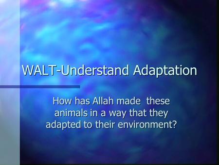 WALT-Understand Adaptation How has Allah made these animals in a way that they adapted to their environment?